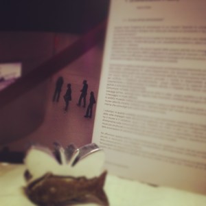 volontariocomunicaremaxi